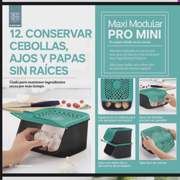 Tupperware Garlic N All Keeper 2.3L - Picture 5 of 10